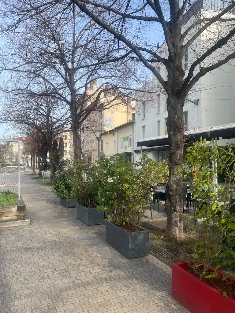 Bacs à plantes structurant une terrasse de café en centre-ville