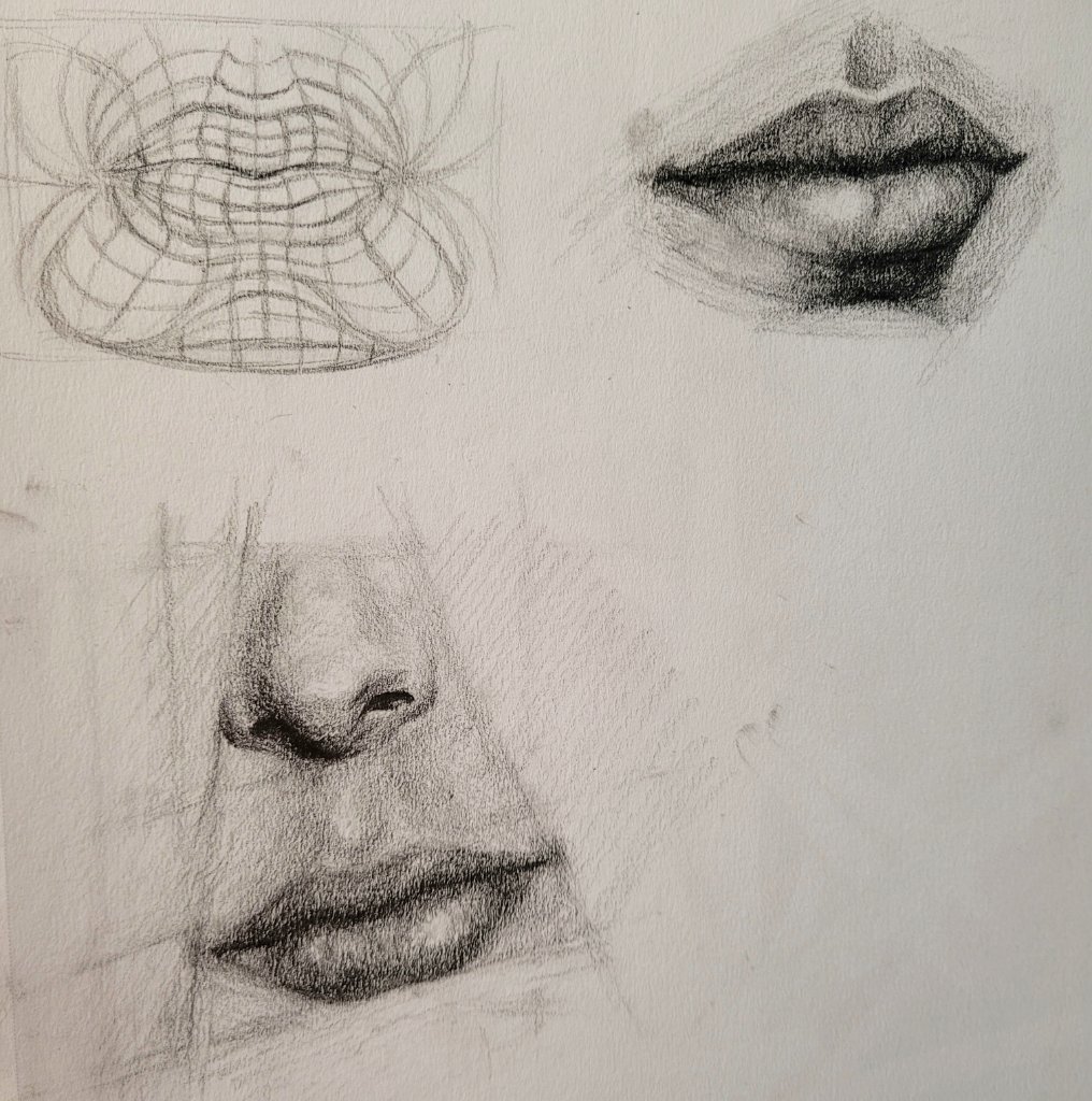 Facial Features Study