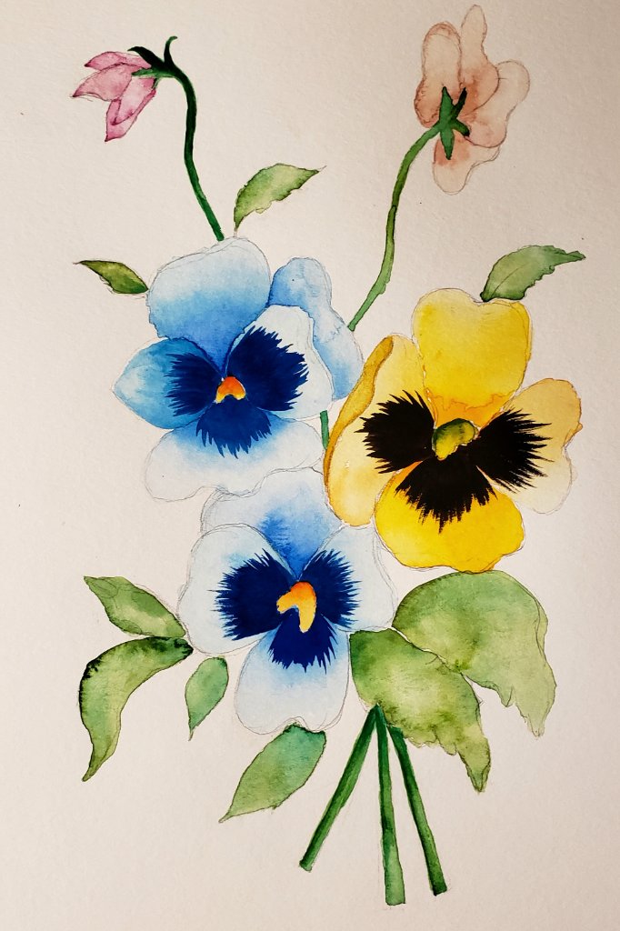 Blue & Yellow Pansies