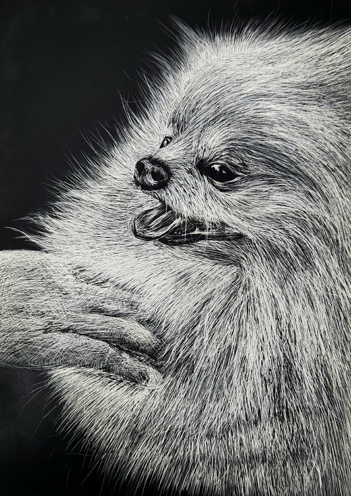 Pomeranian