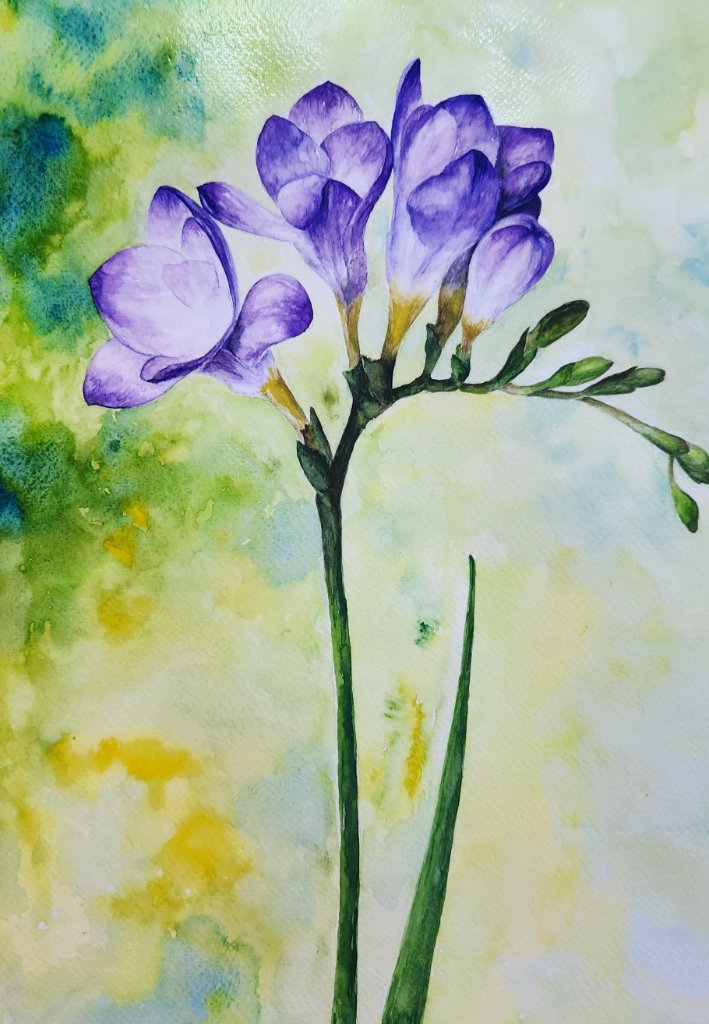 Purple Freesia