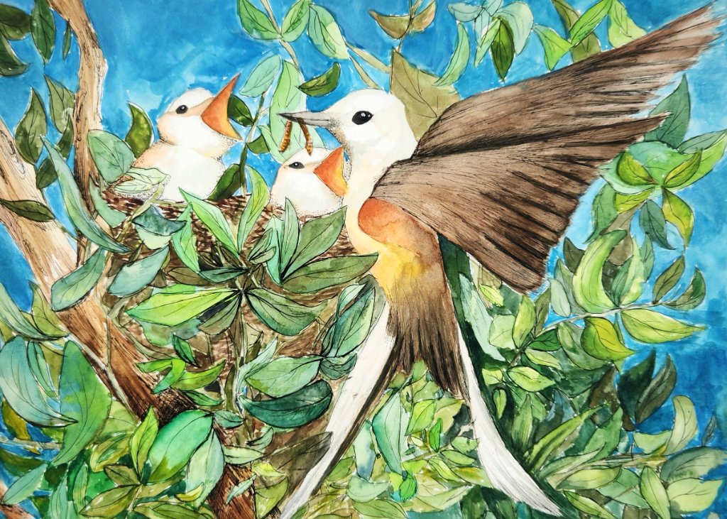 Birds & Nest