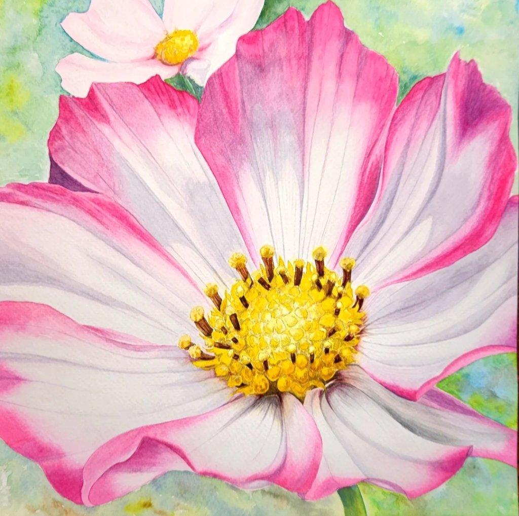 Cosmos Close-Up