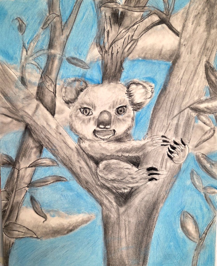 Koala Drawing