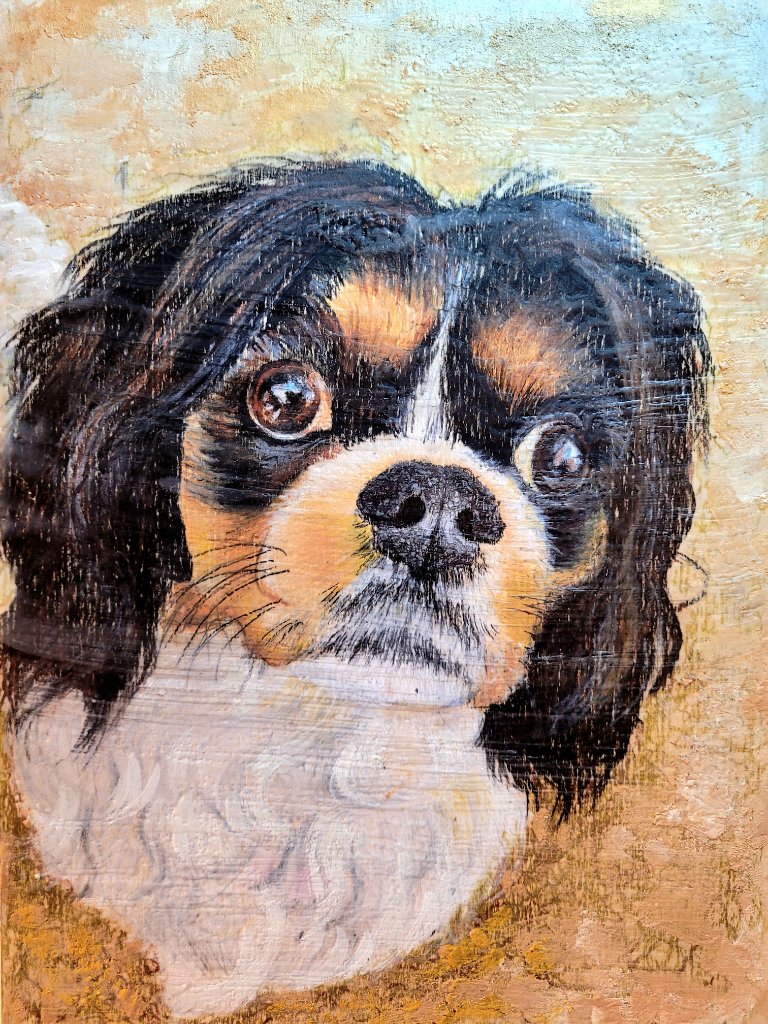 Spaniel Portrait