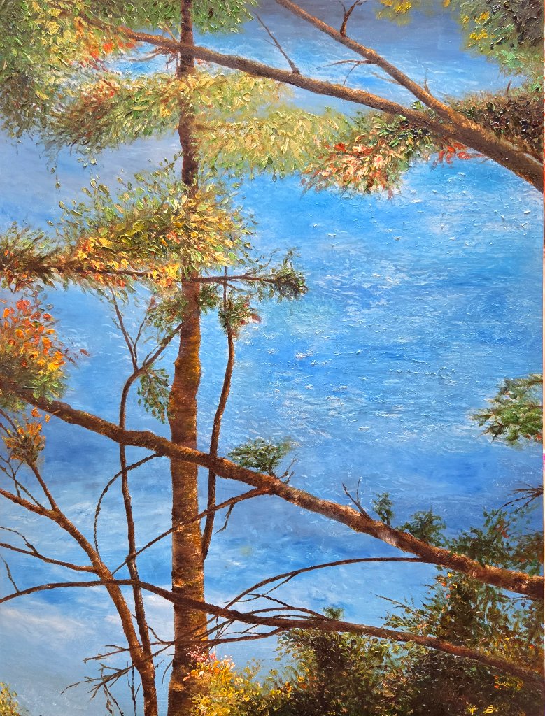 Pine Trees & Lake