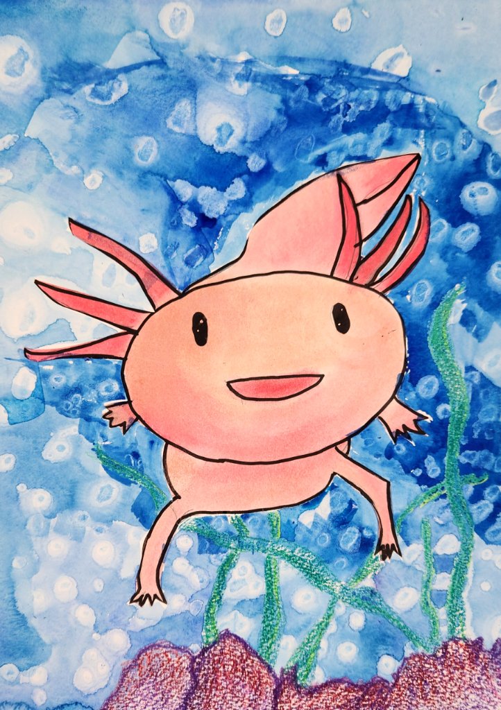 Axolotl