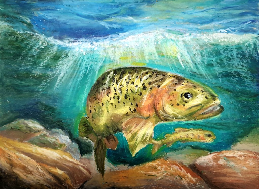 Fish Underwater