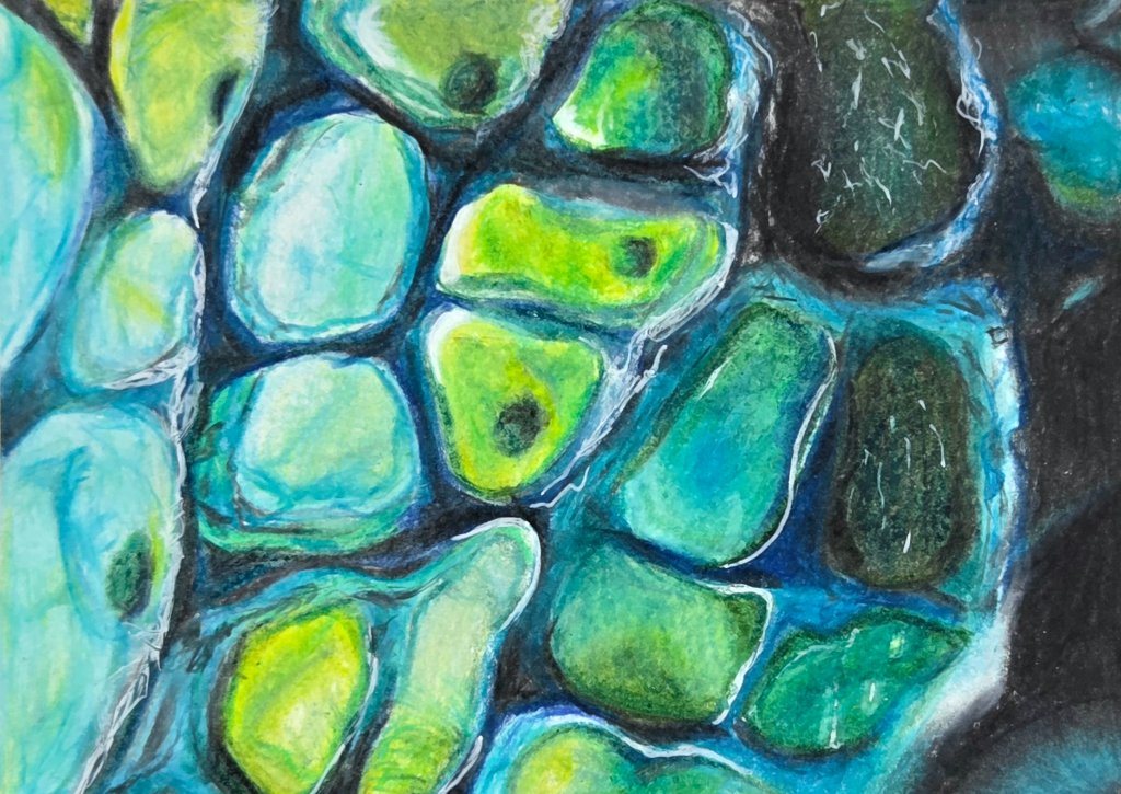 Sea Glass