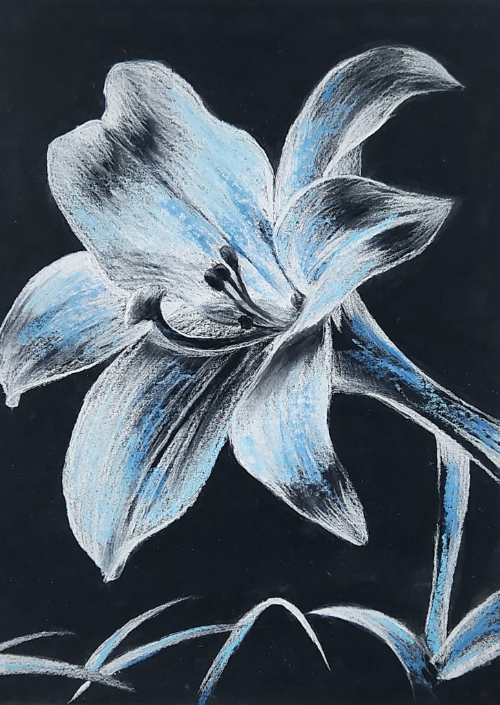 White Lily