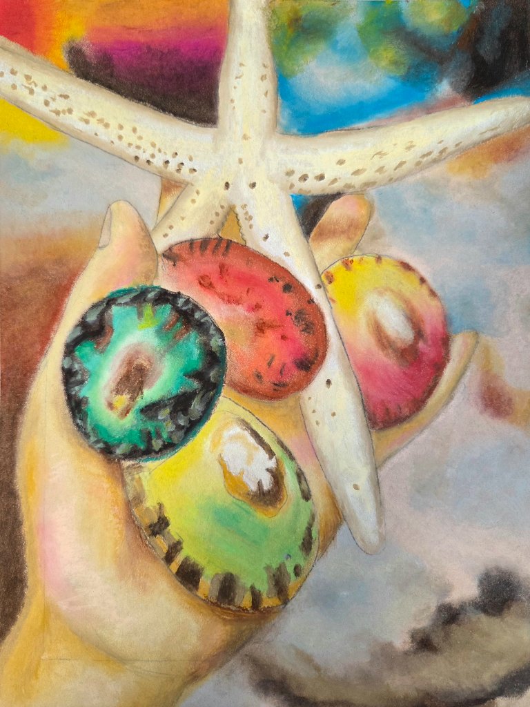 Shells & Starfish