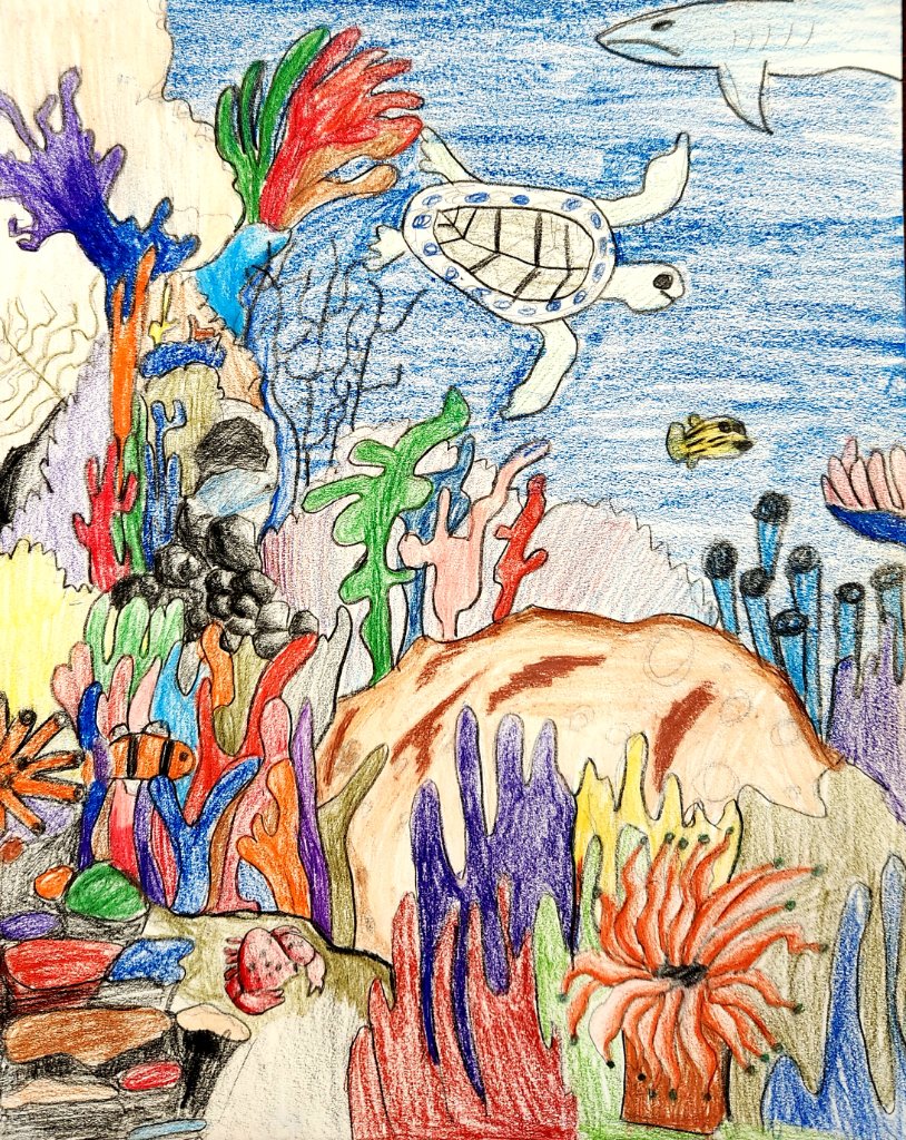 Coral Reef