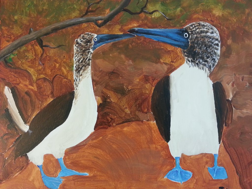 Blue-Footed Boobies