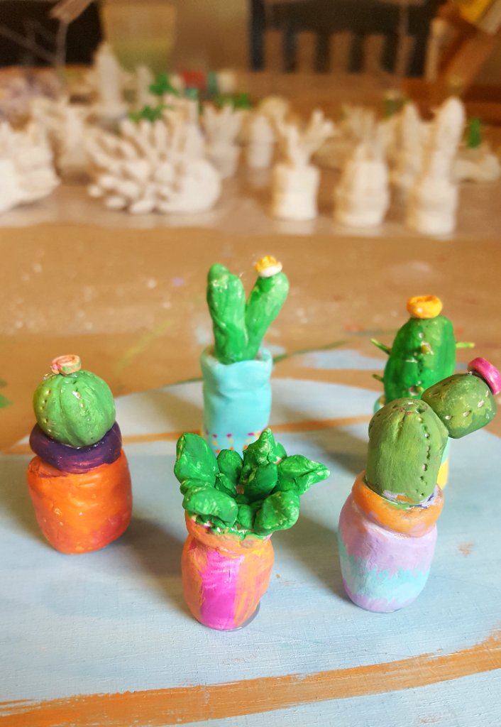 Mini Cacti