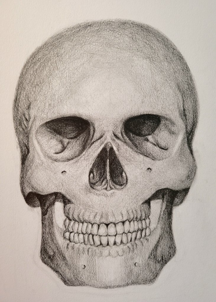 Skull Drawing