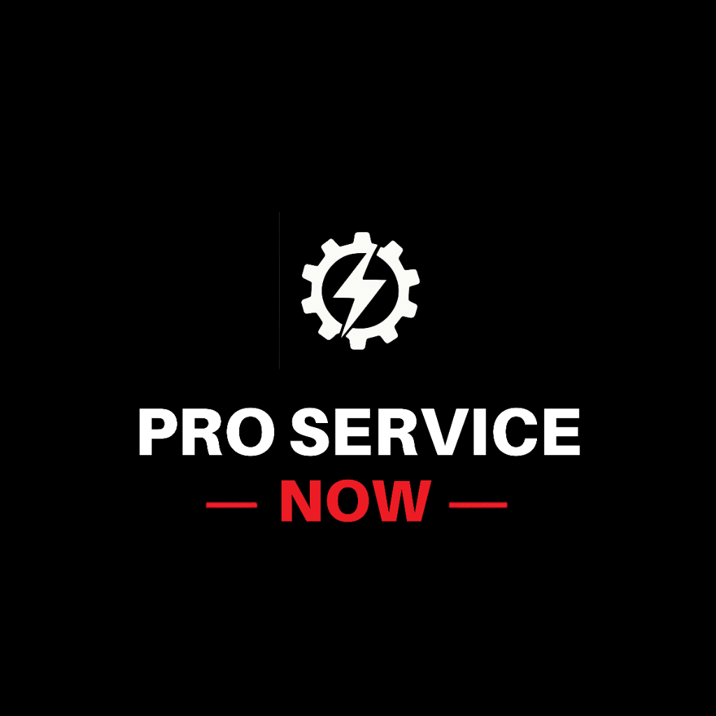 Pro Service Now logo