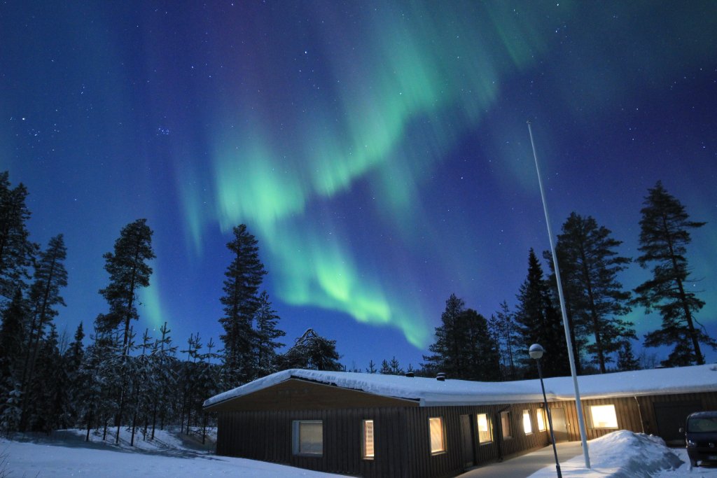 Arctic Alma Meltaus
