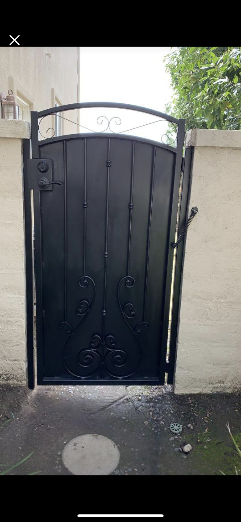 Arched Black Panel Side Gate