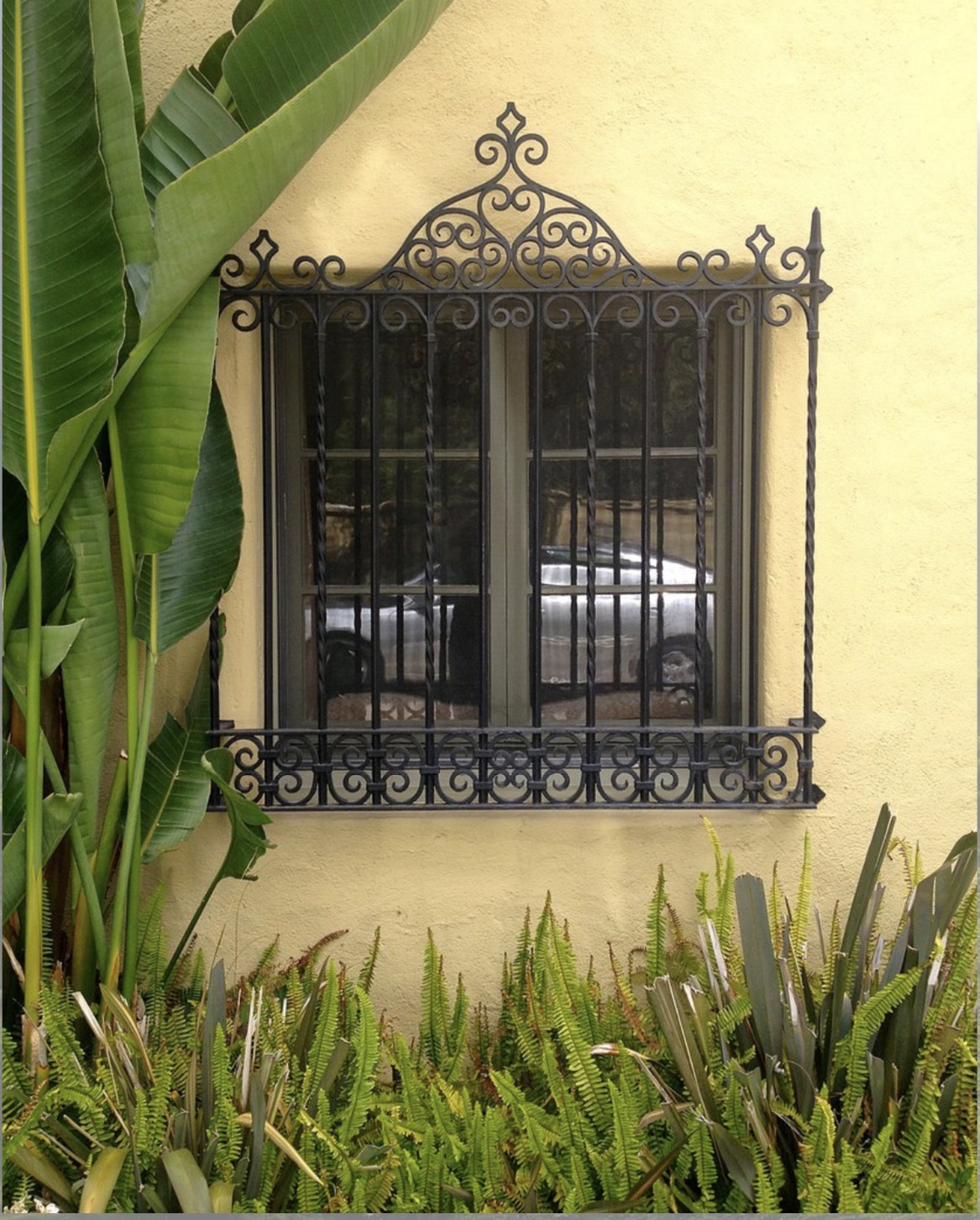 Ornate Window Security Grille