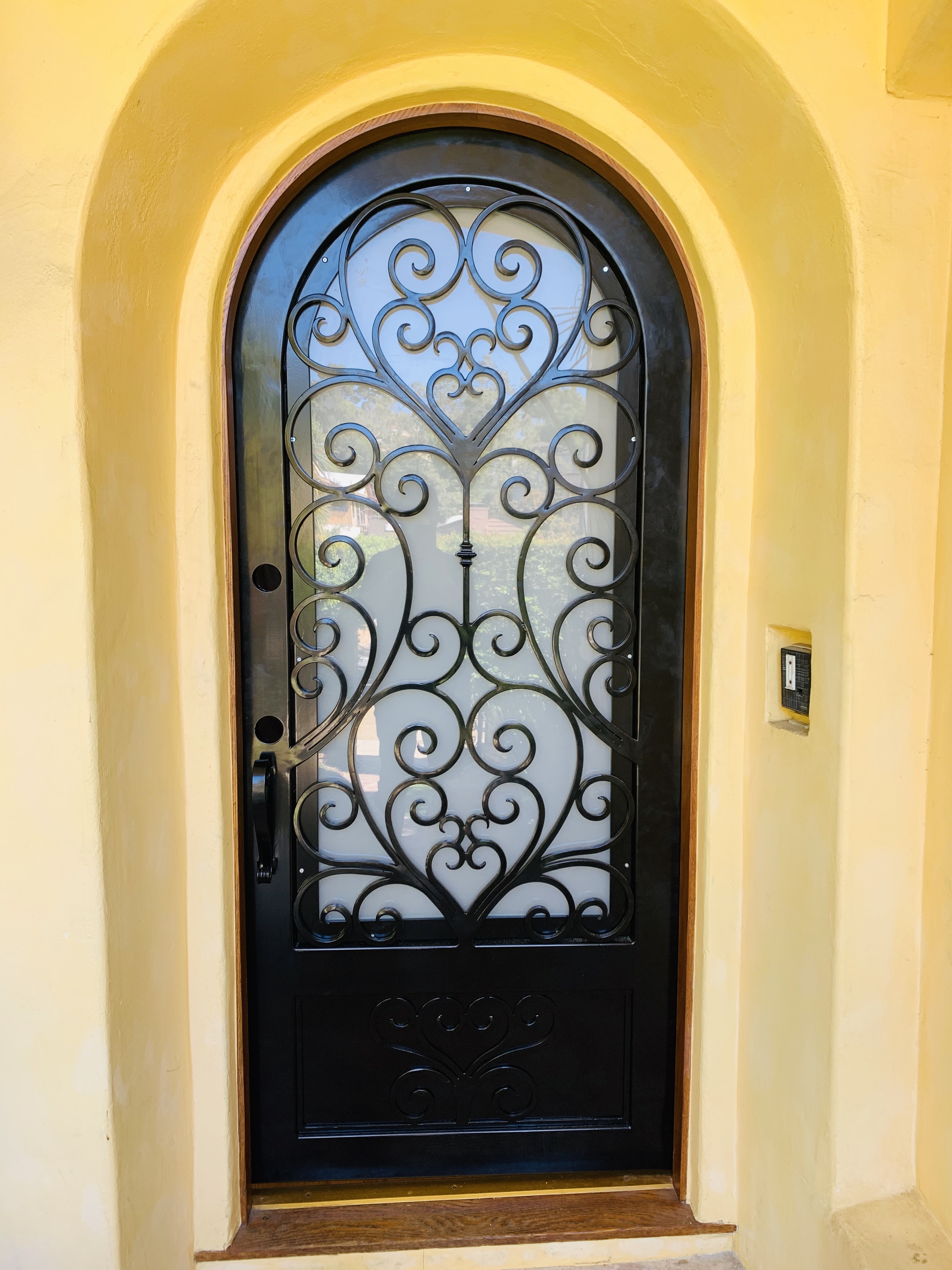 Arched Iron Entry Door with Scrollwork Glass