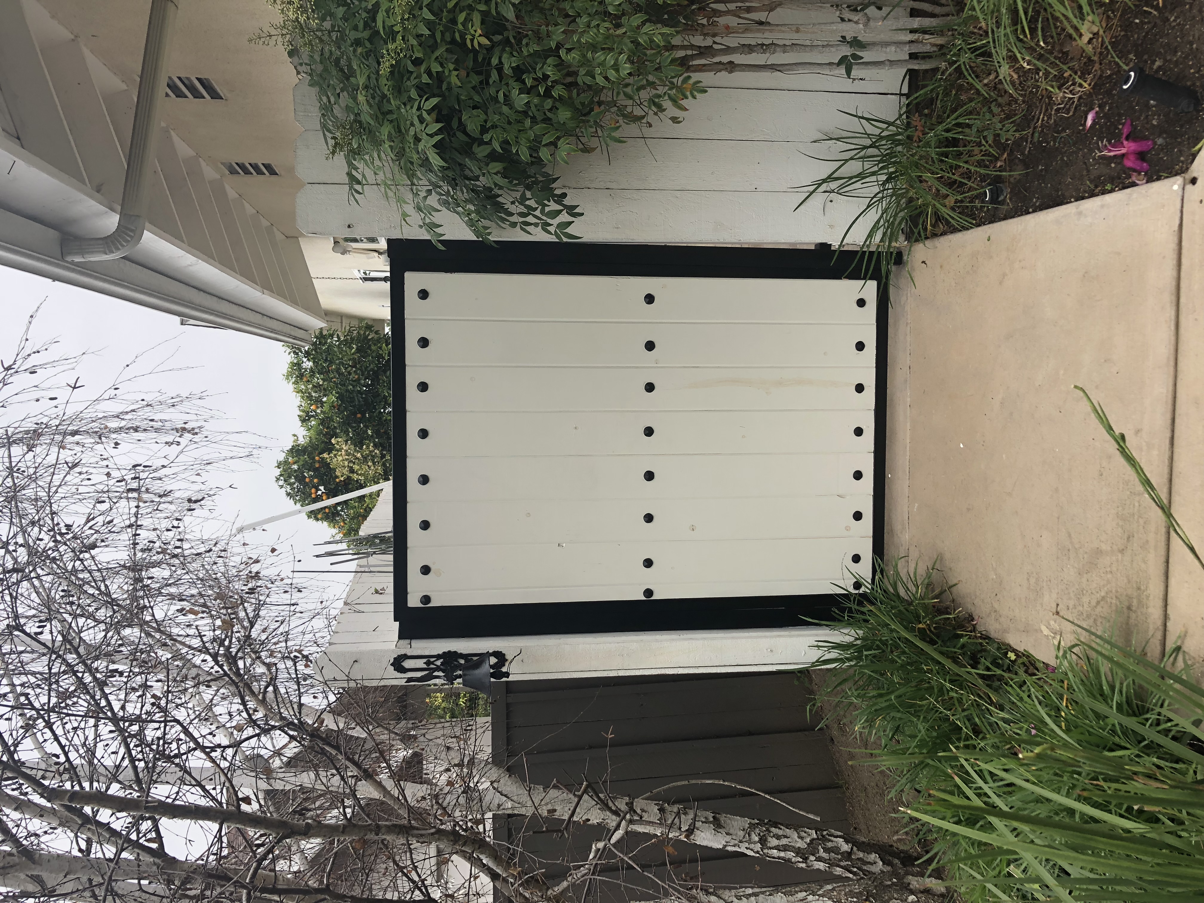 Arched Scrollwork Iron Gate