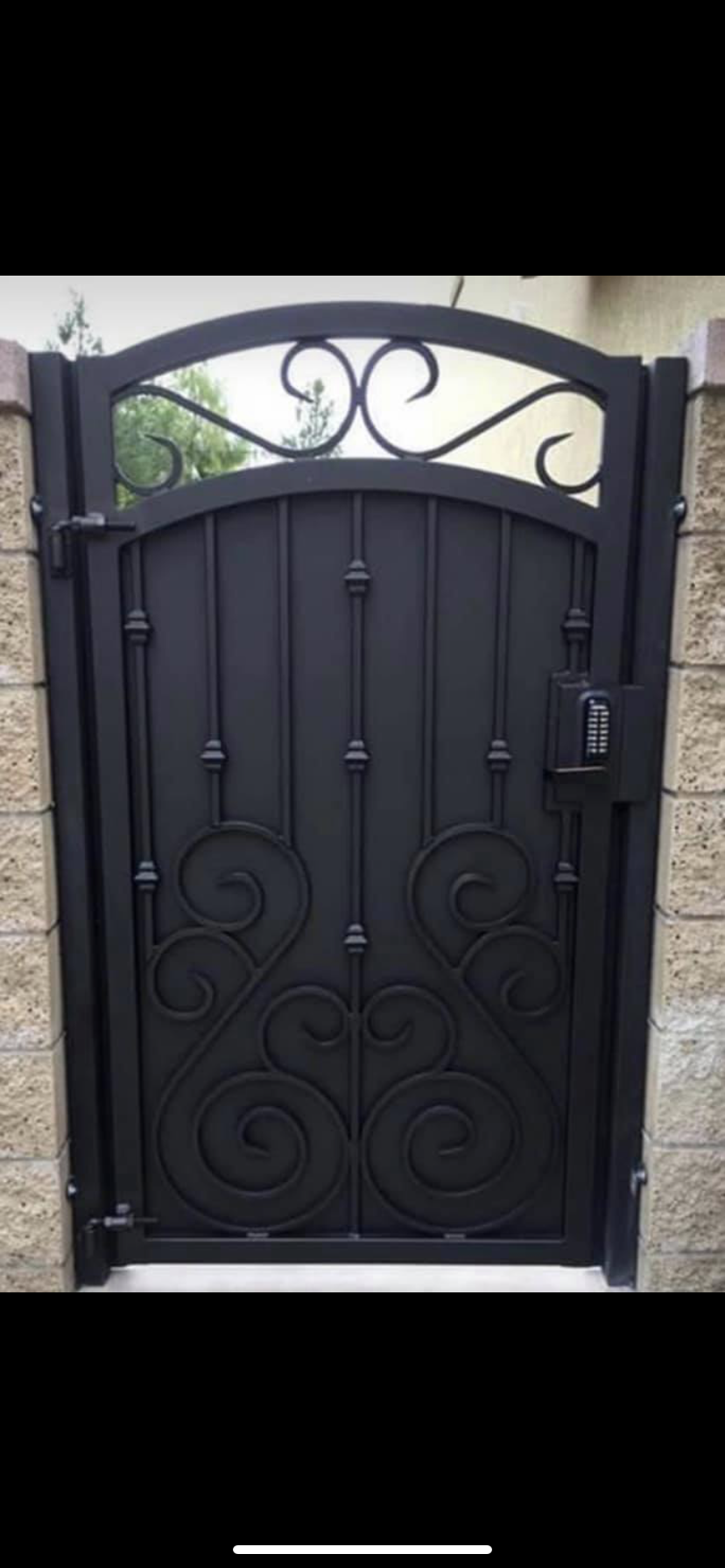 Iron Fireplace Door with Fleur-de-Lis Design