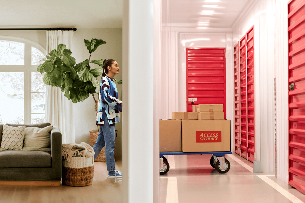 Storage Solutions
