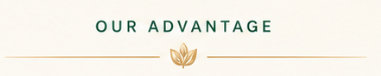 Our Advantage