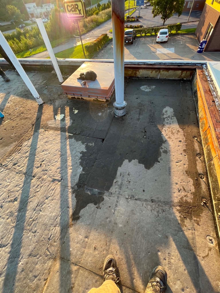 Take 5 Oil Change TPO roof replacement project, Alexandria KY — photo 8