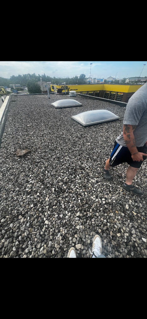 Take 5 Oil Change TPO roof replacement project, Alexandria KY — photo 3