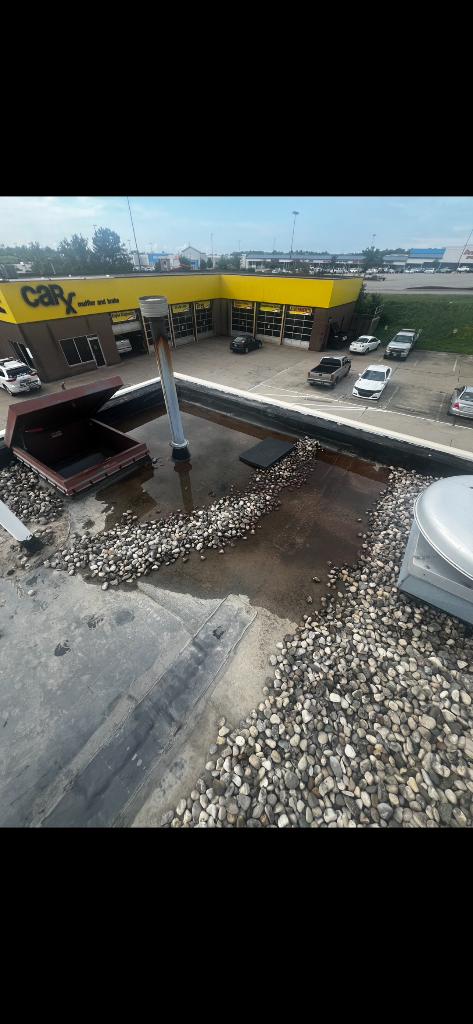 Take 5 Oil Change TPO roof replacement project, Alexandria KY — photo 7