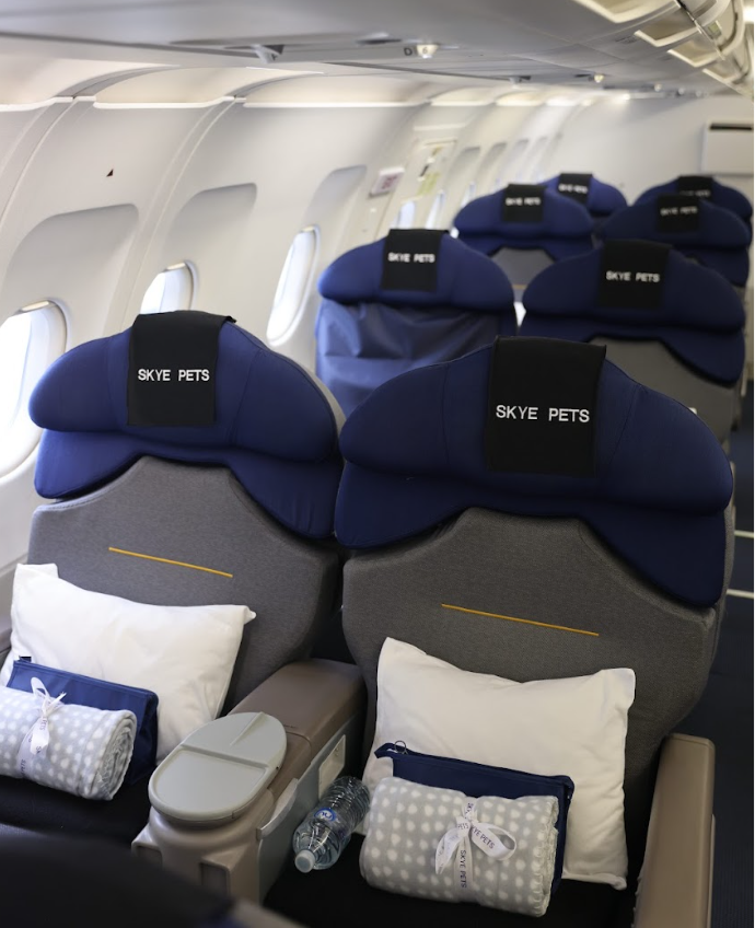 Premium economy seating with amenity packs