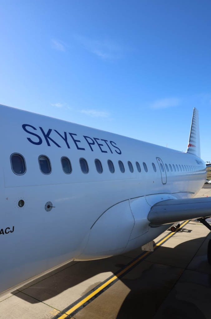 Airbus A319 ACJ