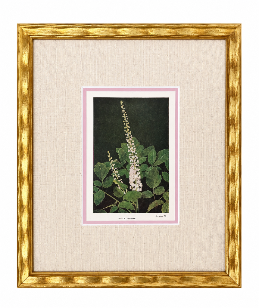 BOTANICAL