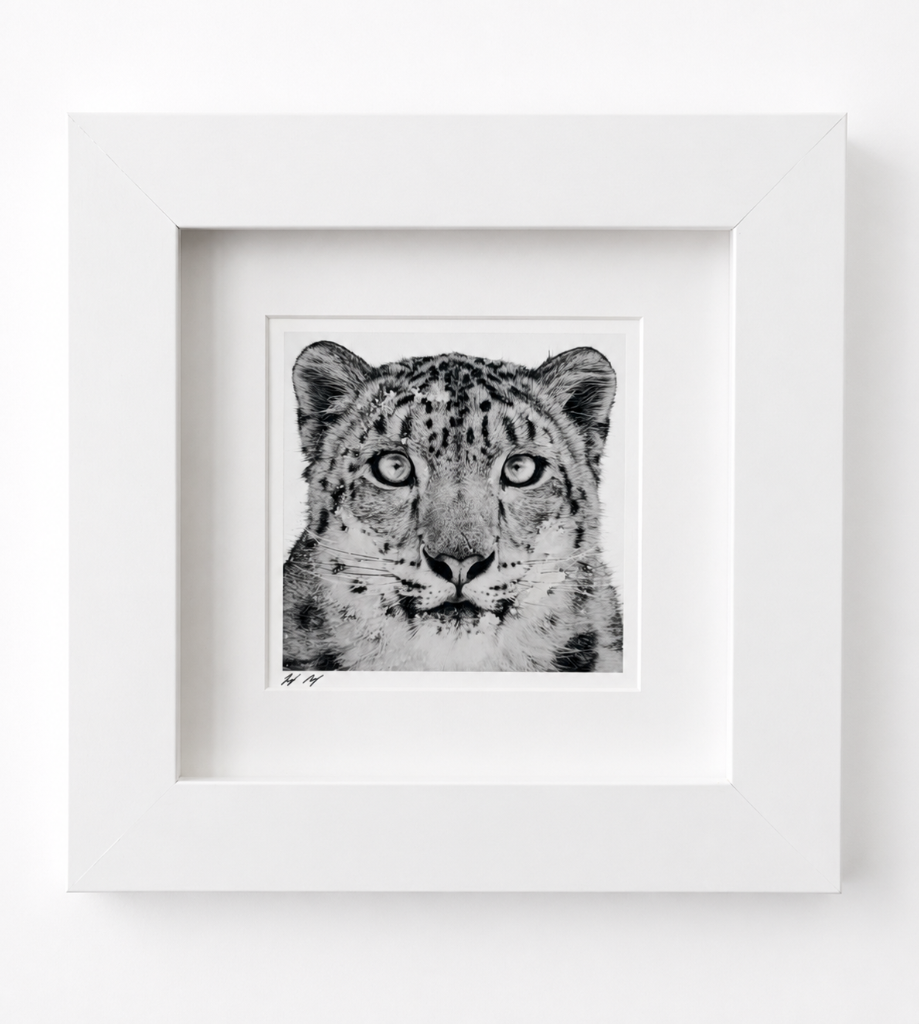 SNOWLEOPARD