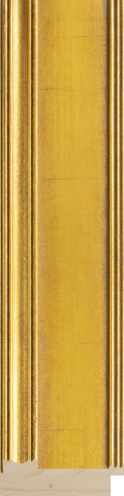 Hudson Gold