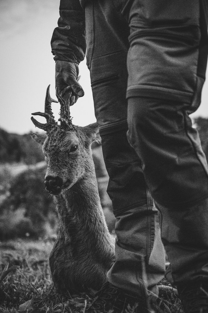 Professional deer stalking image — responsible deer management by Paul Childerley