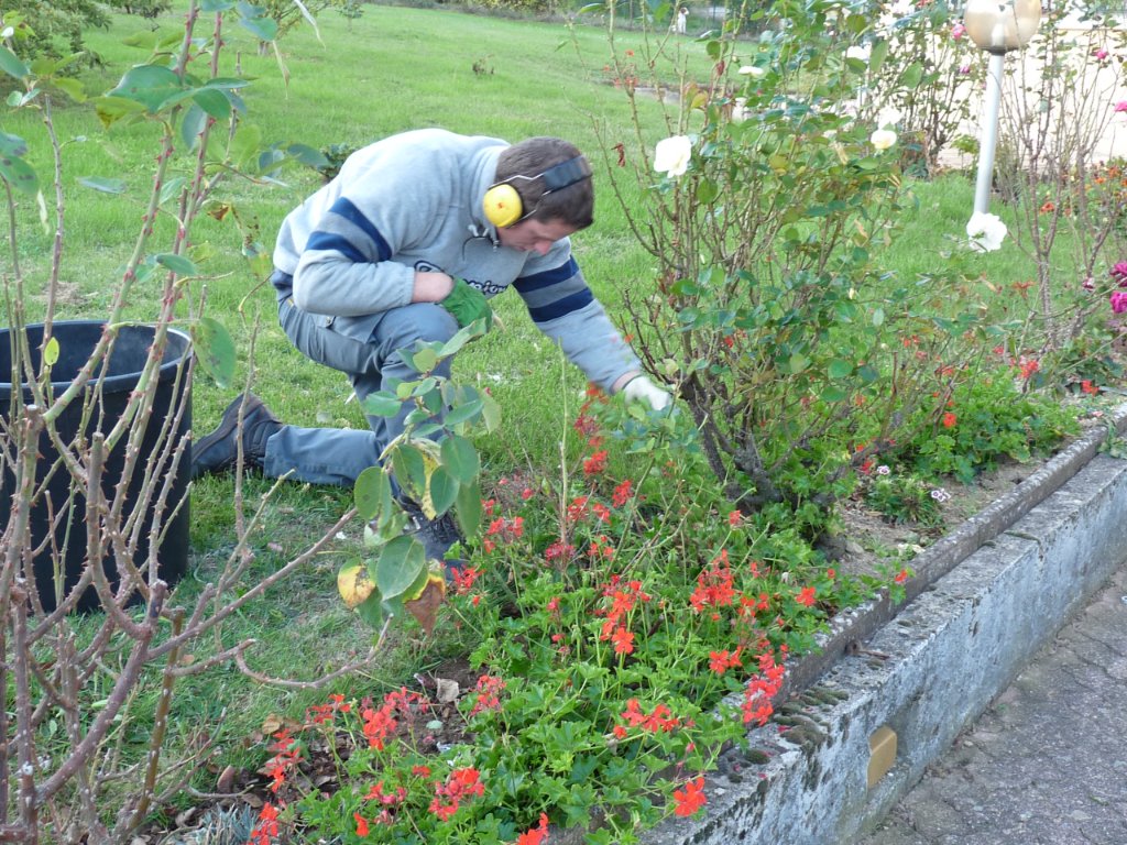 Entretien d'un massif fleuri