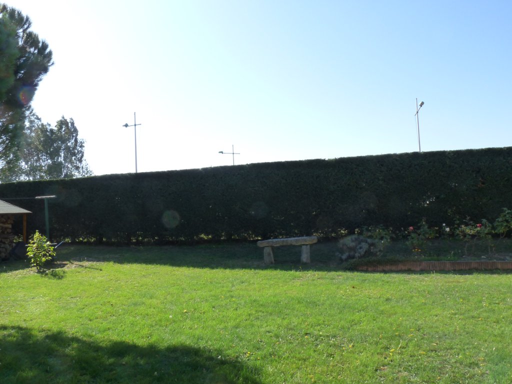 Vue d'ensemble d'un jardin entretenu