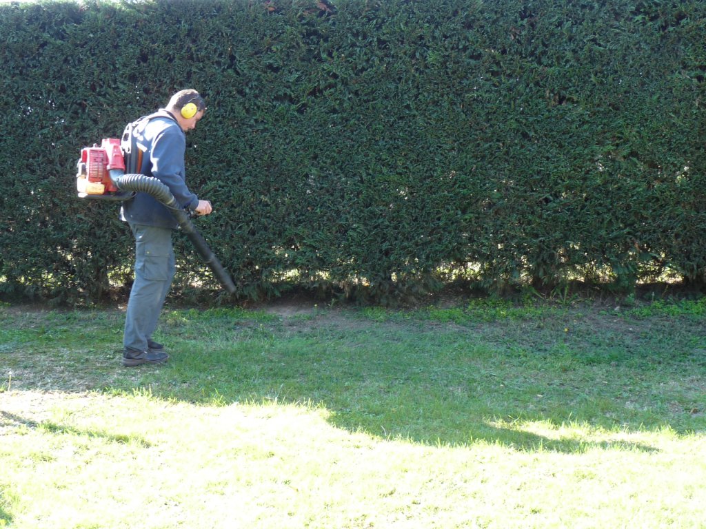 Souffleur dorsal — nettoyage après taille de haie