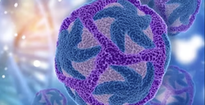 Tropical Diseases