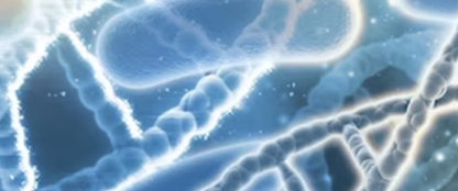 Respiratory Diseases