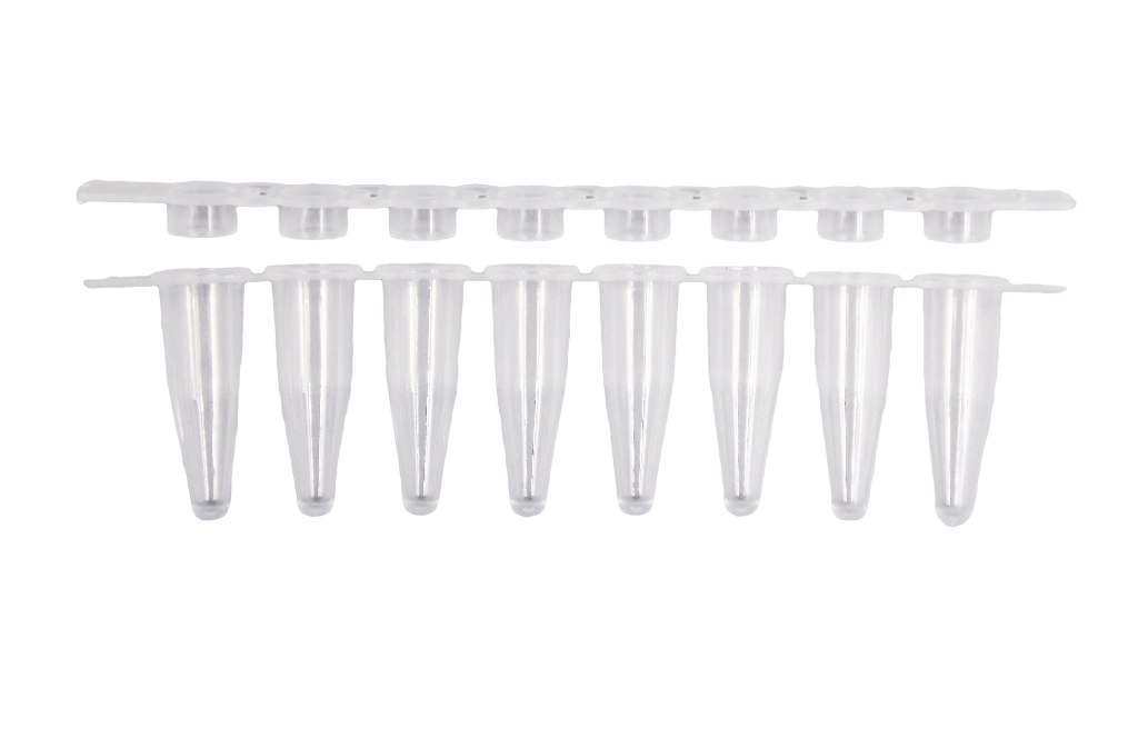 qPCR Strips & Caps