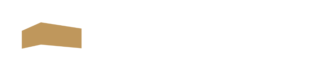 AngelBrics