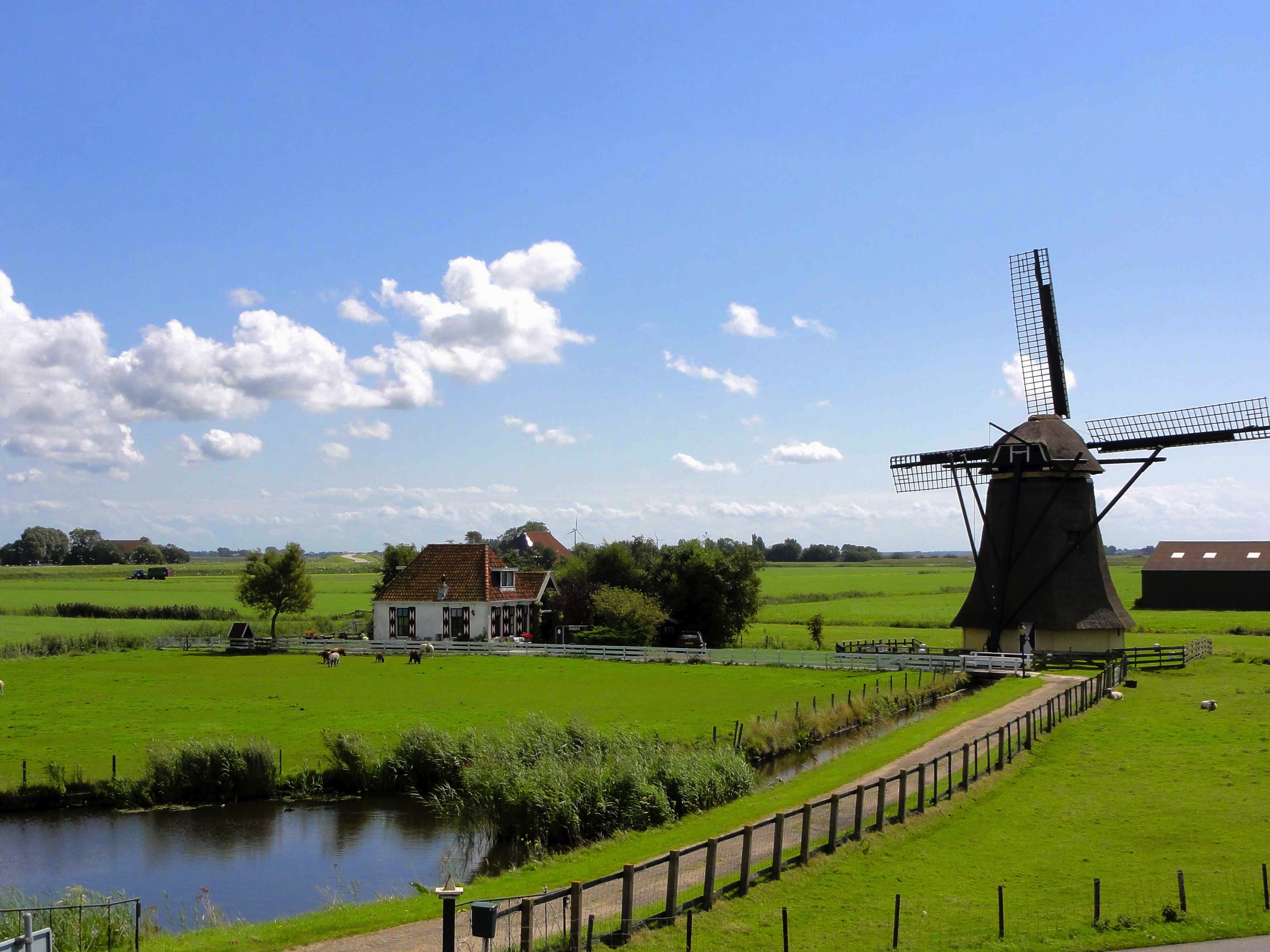 Pays-Bas - Belgique 3