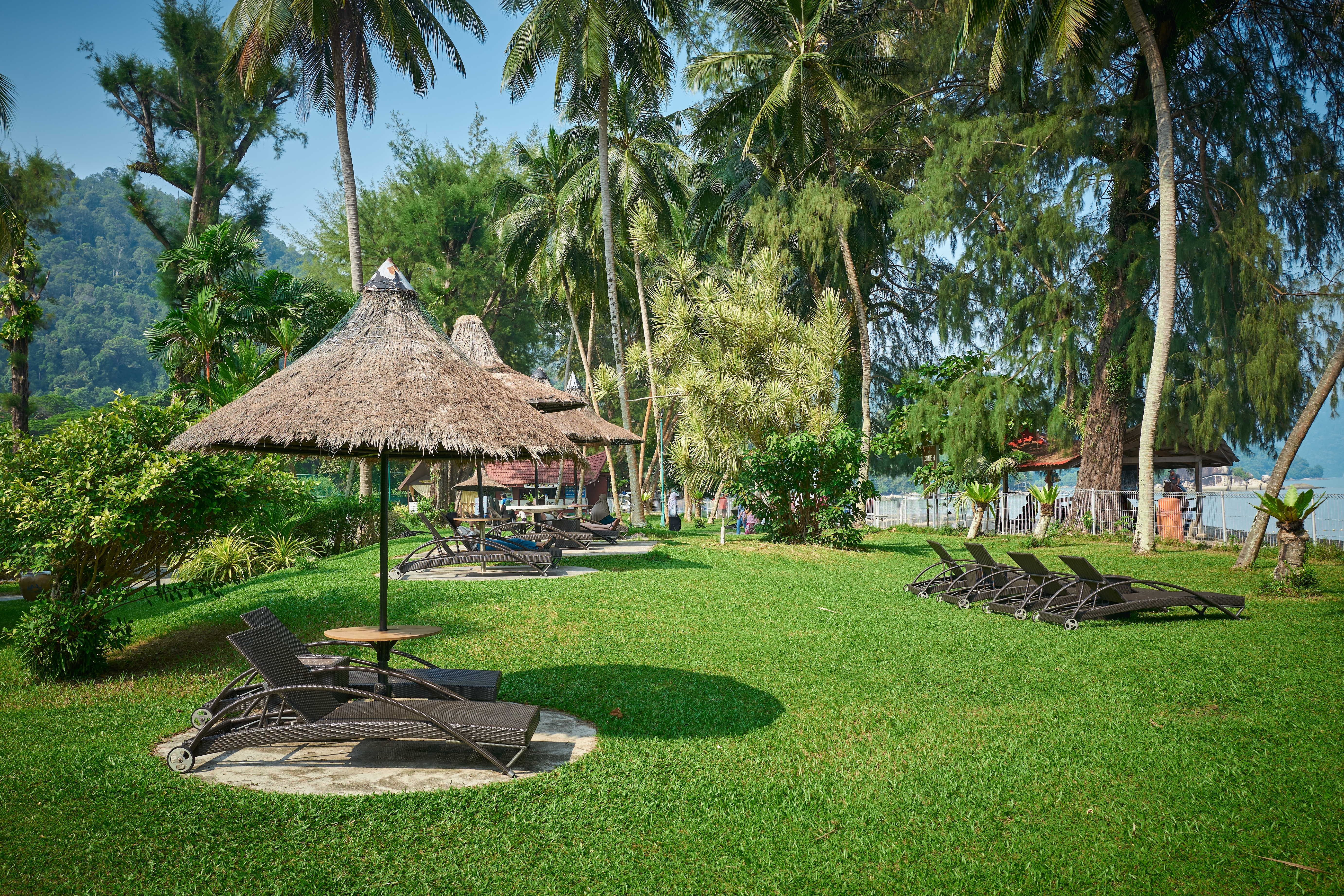 Thumbnail 10