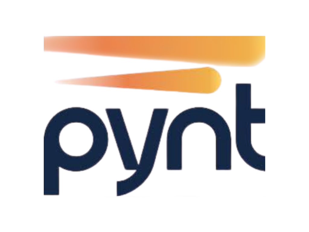 Pynt