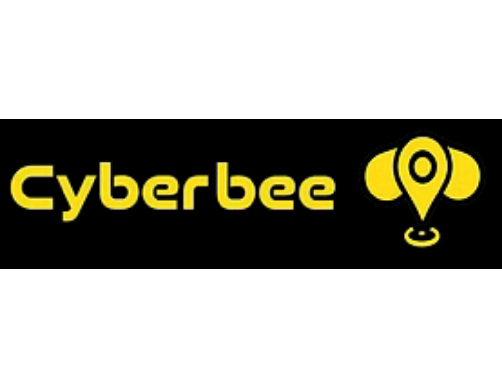 Cyberbee