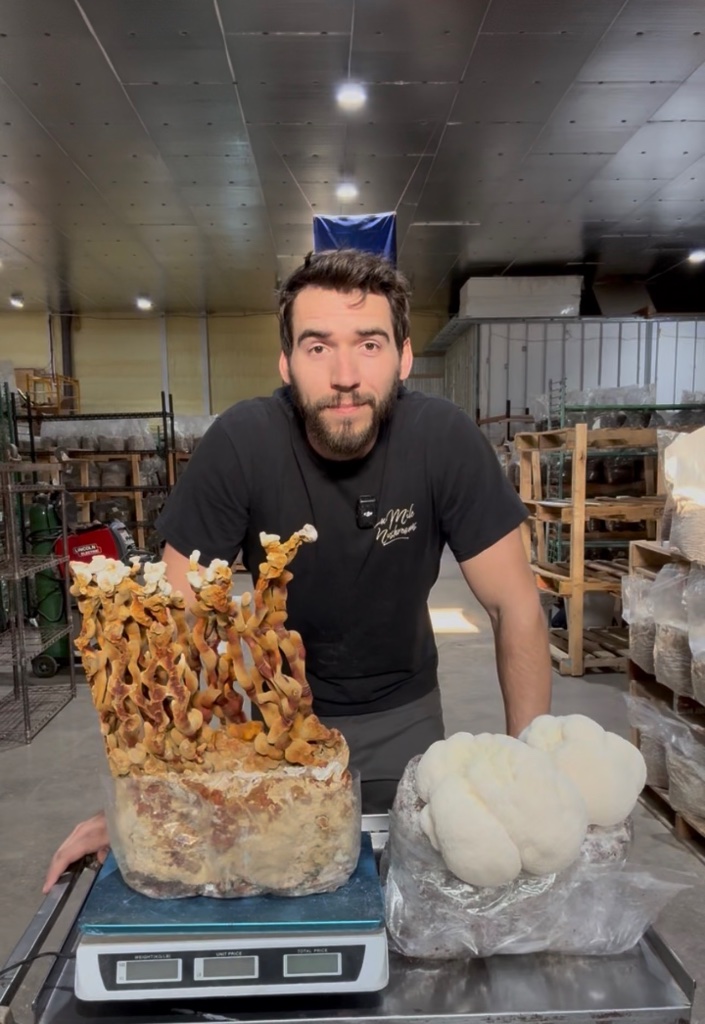 Kyle, Ten Mile Mushrooms