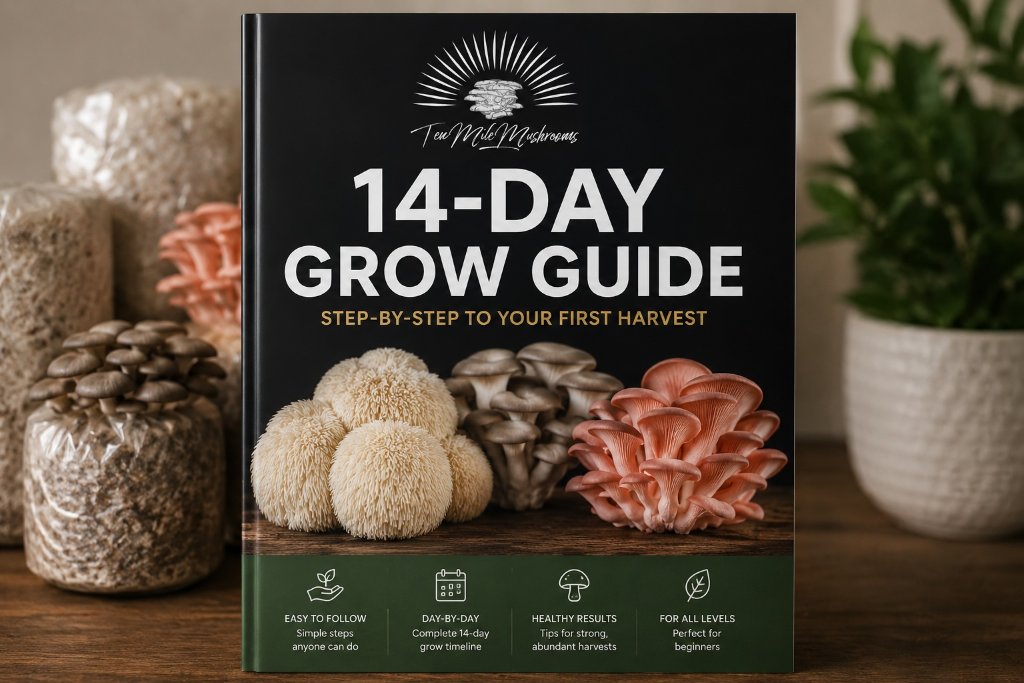 14-Day Guided Grow Blueprint